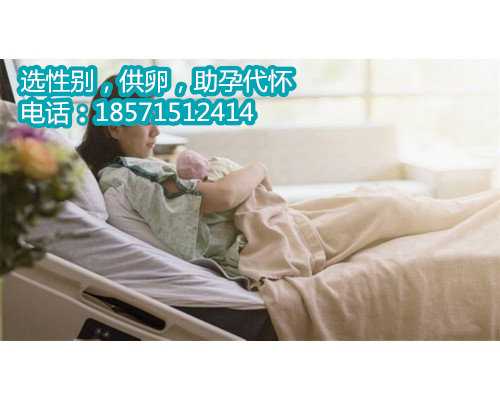 宣威代妈招聘网,北京哪家医院能做试管婴儿呢